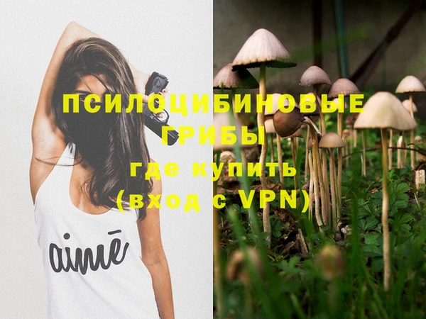 PSILOCYBIN Алзамай