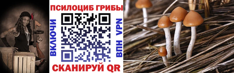 Псилоцибиновые грибы GOLDEN TEACHER  Тырныауз 